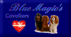 Blue Magic's